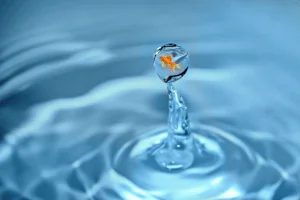 water-testing-jackson-ga
